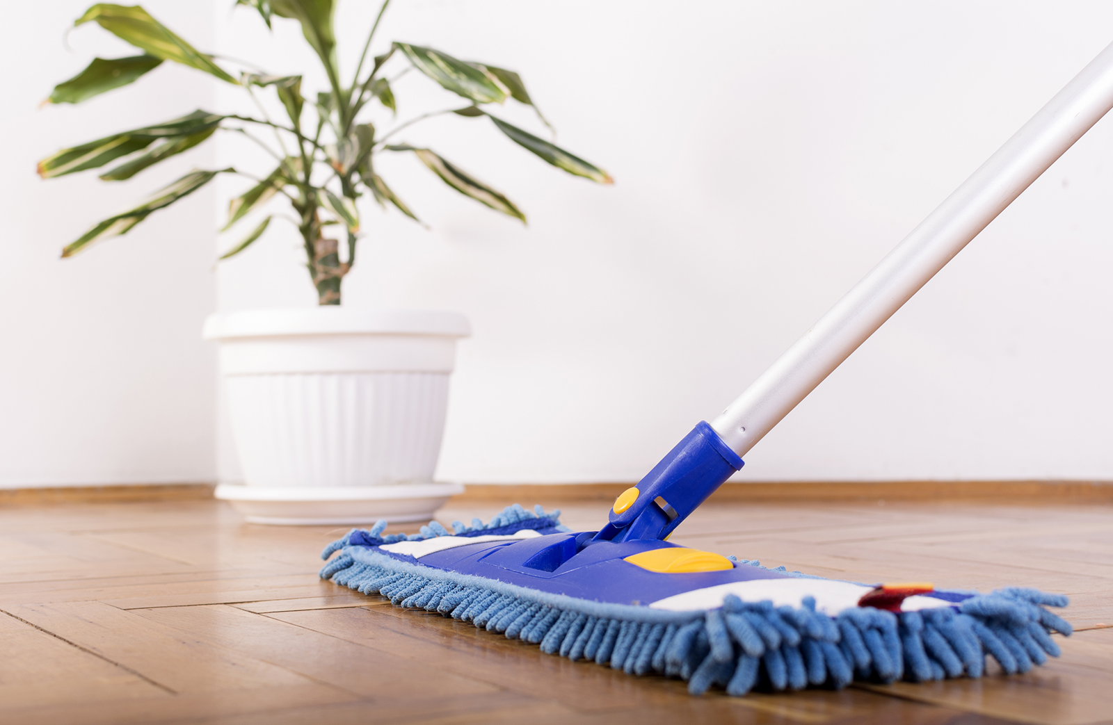 BEST HOME CLEANING SERVICES IN NEW JERSEY AND PENNSYLVANIA