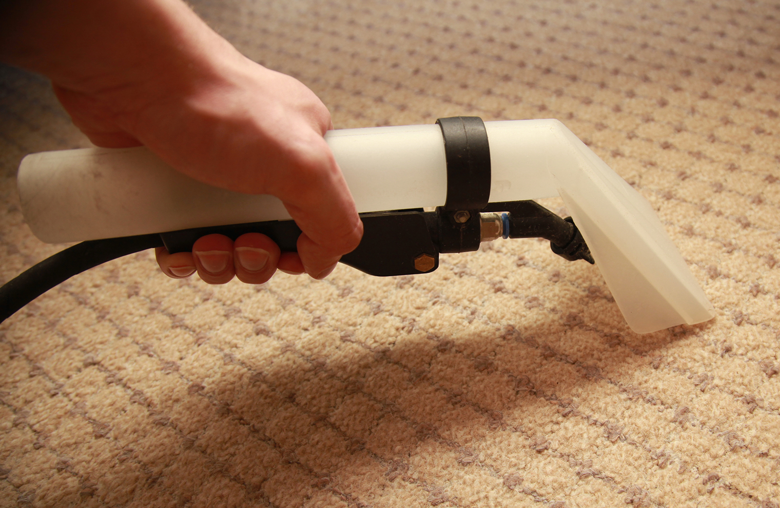 PROFESSONAL CARPET CLEANING SERVICES FOR PA AND NJ