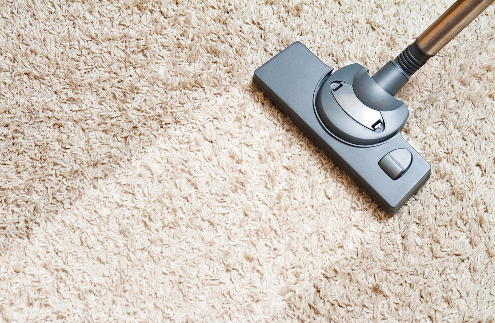 PROFESSIONAL CARPET CLEANING SERVICES FOR PA AND NJ